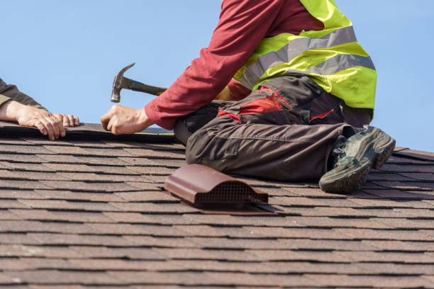 Best Roof Gutter Cleaning  in Kailua, HI
